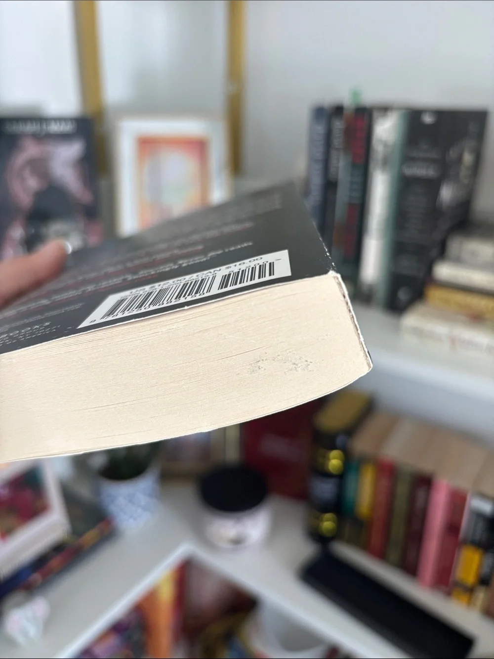 Secrets Never Die — Paperback Book